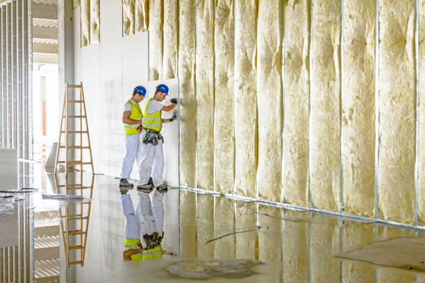 Best Soundproof Insulation  in Lakewood Clu, MI